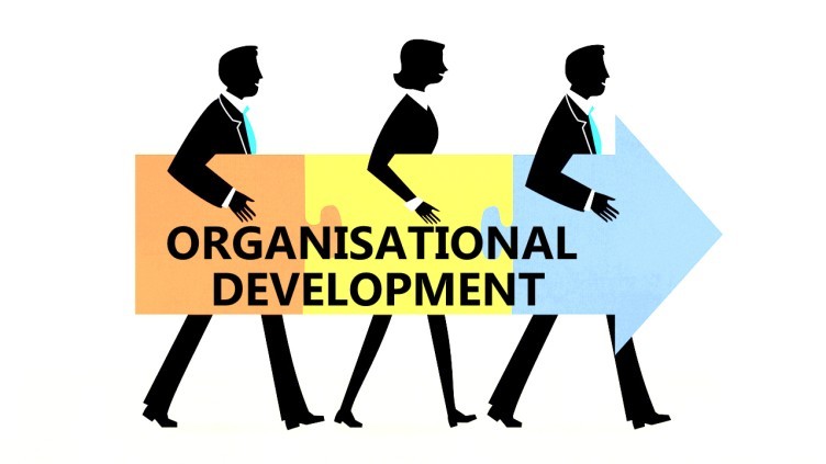 Organizational Development (OD) Diploma