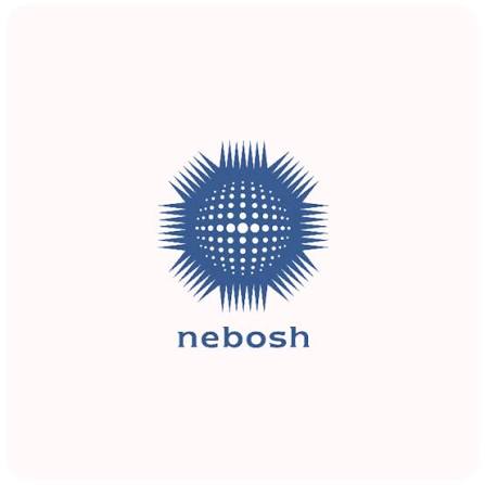 NEBOSH Occupational Safety and Health Certification Qualification Program
