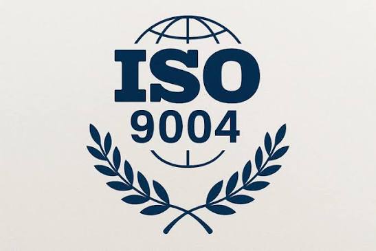 ISO 9004 Internal Department Performance Improvement Course