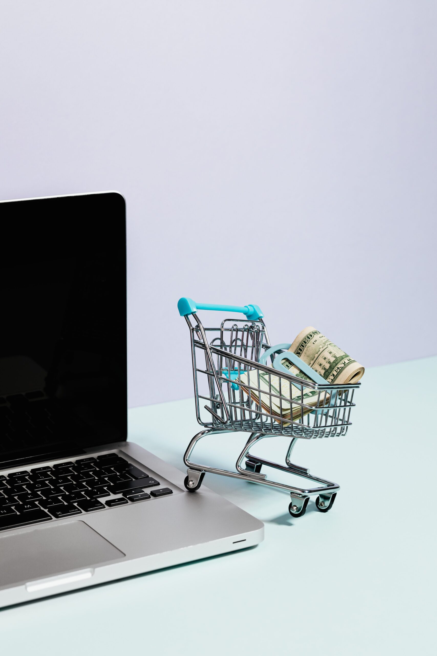 Training Course for Creating and Managing E-Commerce Stores