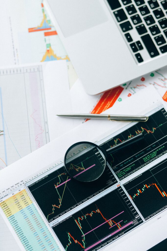 Investment Portfolio Management Course